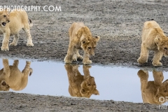 https://www.orenbphotography.com