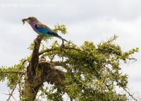 https://www.orenbphotography.com