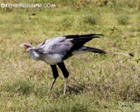 https://www.orenbphotography.com