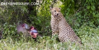 https://www.orenbphotography.com