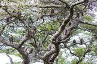 https://www.orenbphotography.com