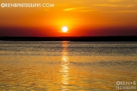 https://www.orenbphotography.com