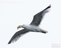 https://www.orenbphotography.com