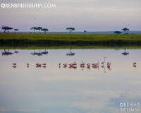 https://www.orenbphotography.com