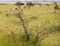https://www.orenbphotography.com