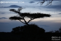 https://www.orenbphotography.com