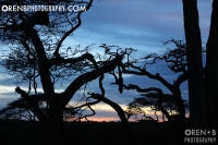 https://www.orenbphotography.com